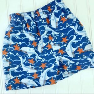 •Sunshine Baby• shark/starfish swim trunks